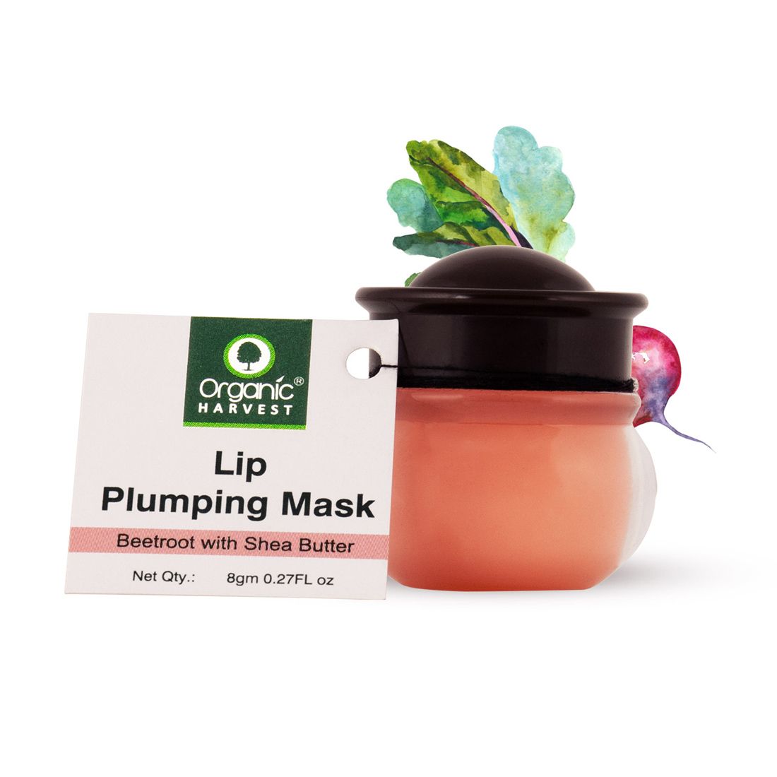Lip Plumping Sleeping Mask with Beetroot Extracts, For Dry, Dull, Hydration & Repair of Chapped Lips | Best for Men & Women - 8gm