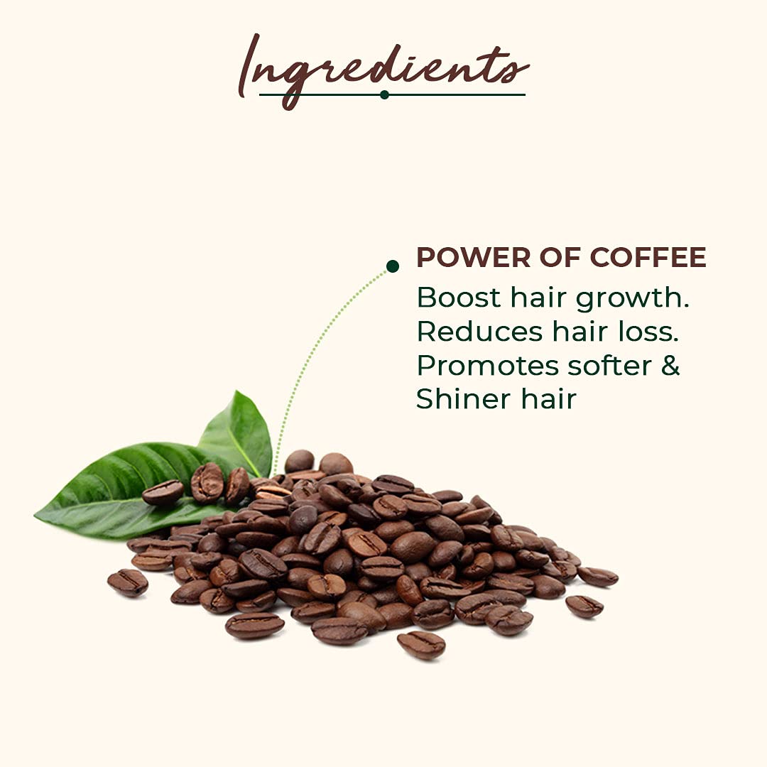 Everyday Shampoo: Coffee & Walnuts | For Dry & Frizzy Hair | Anti-hairfall Shampoo - 250ml