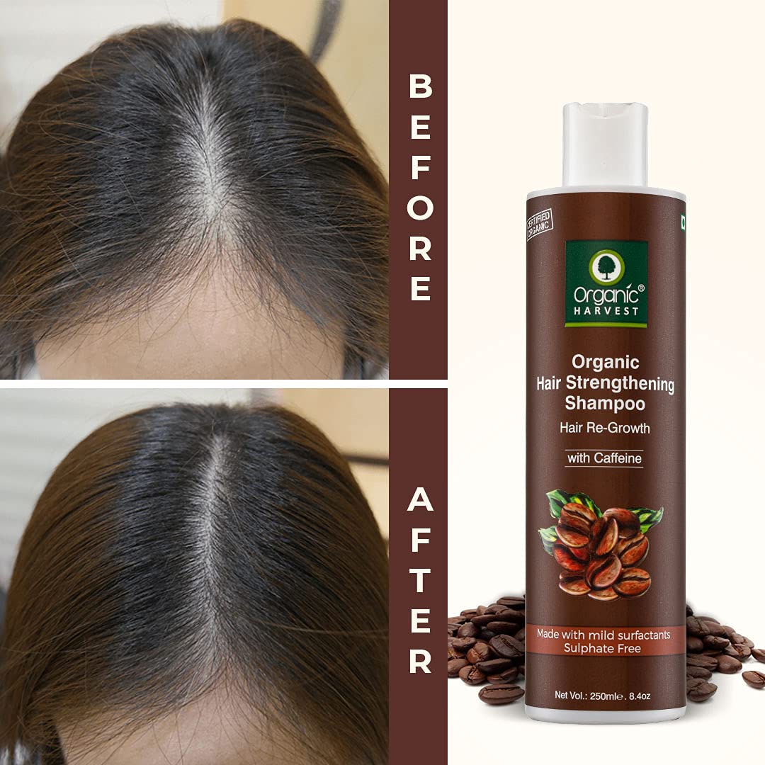 Everyday Shampoo: Coffee & Walnuts | For Dry & Frizzy Hair | Anti-hairfall Shampoo - 250ml