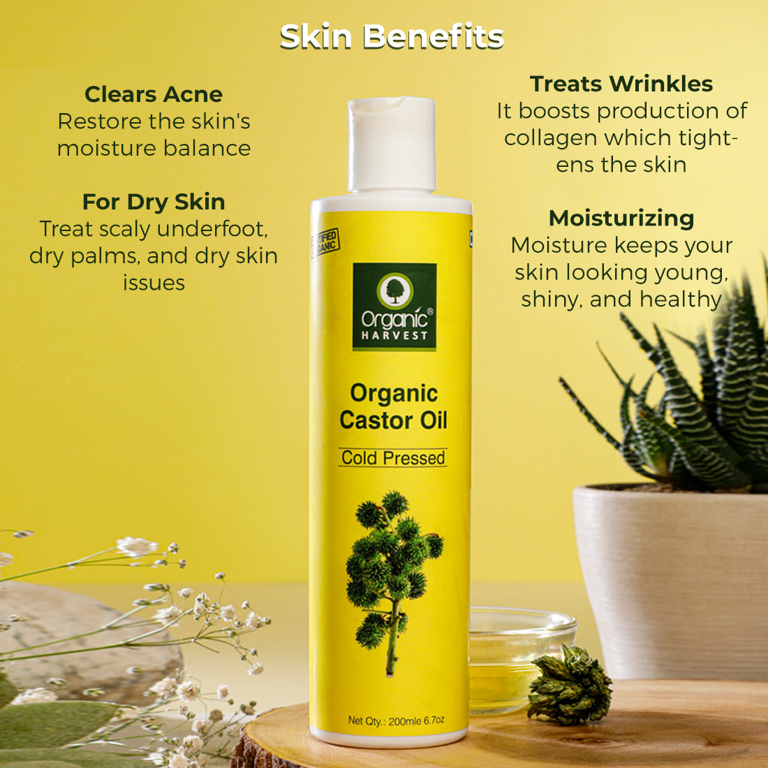 Cold Pressed Castor Oil, For Moisturizing Skin, Hair & Nail Growth, Eyelash Thickening - 200ml