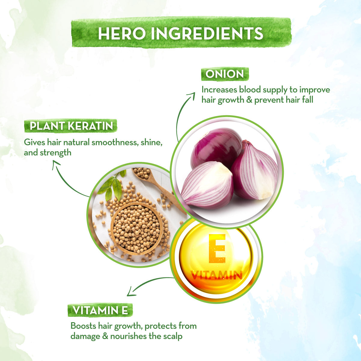 Onion Shampoo with Onion and Plant Keratin for Hair Fall Control - 200ml | Reduces Hair Fall | Strengthens Hair |Softens Hair