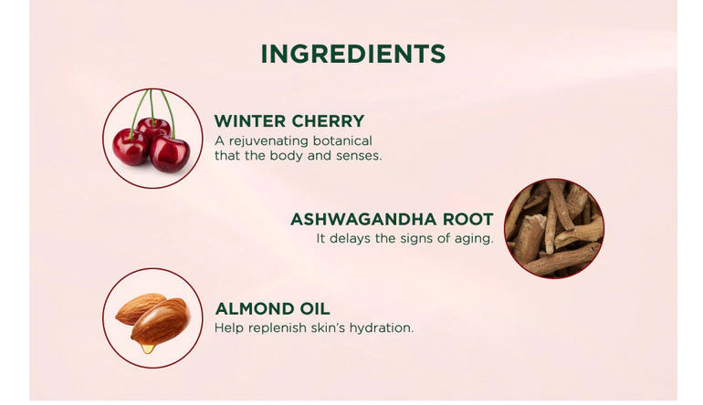 Winter Cherry Rejuvenating Body Lotion