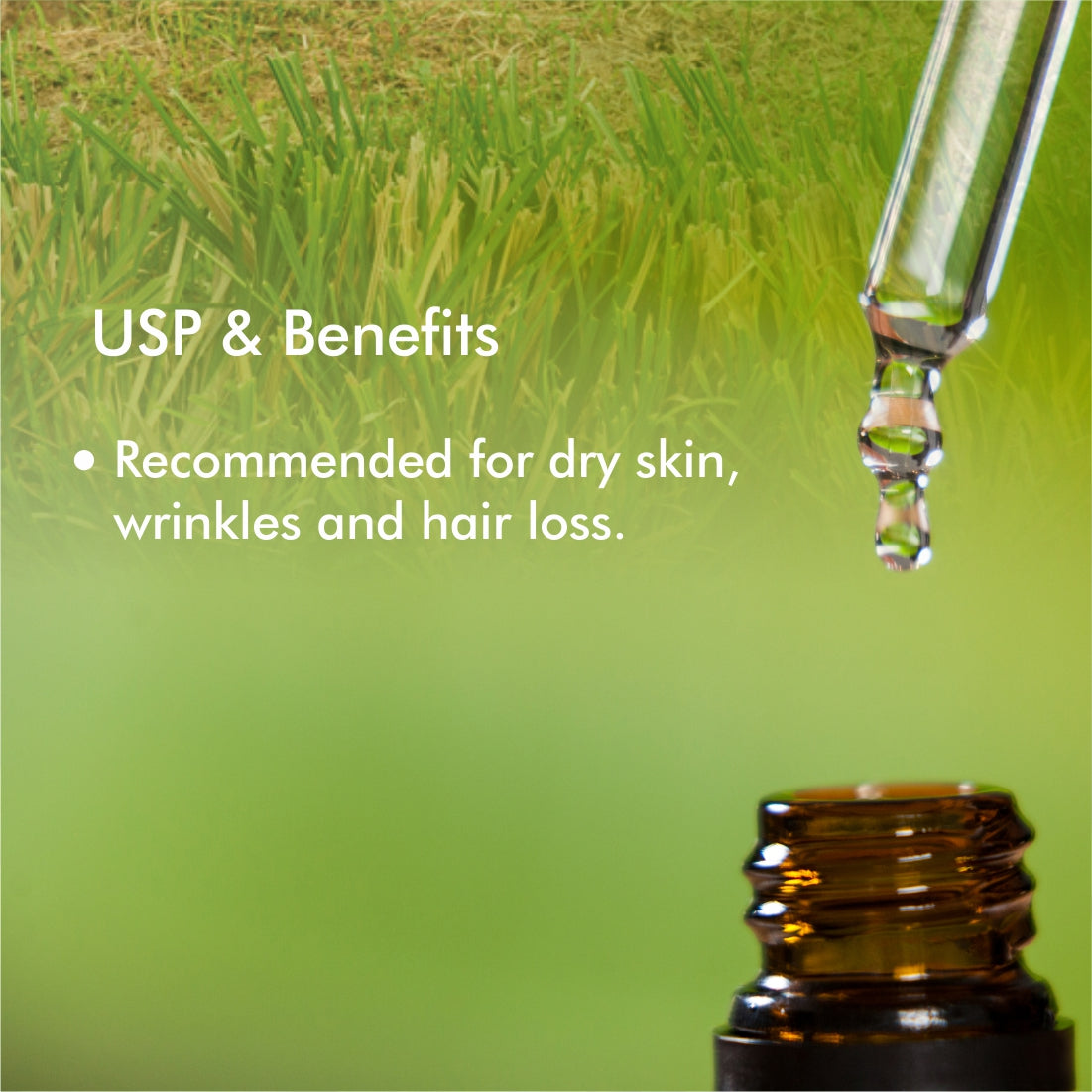 Vetiver Essential Oil