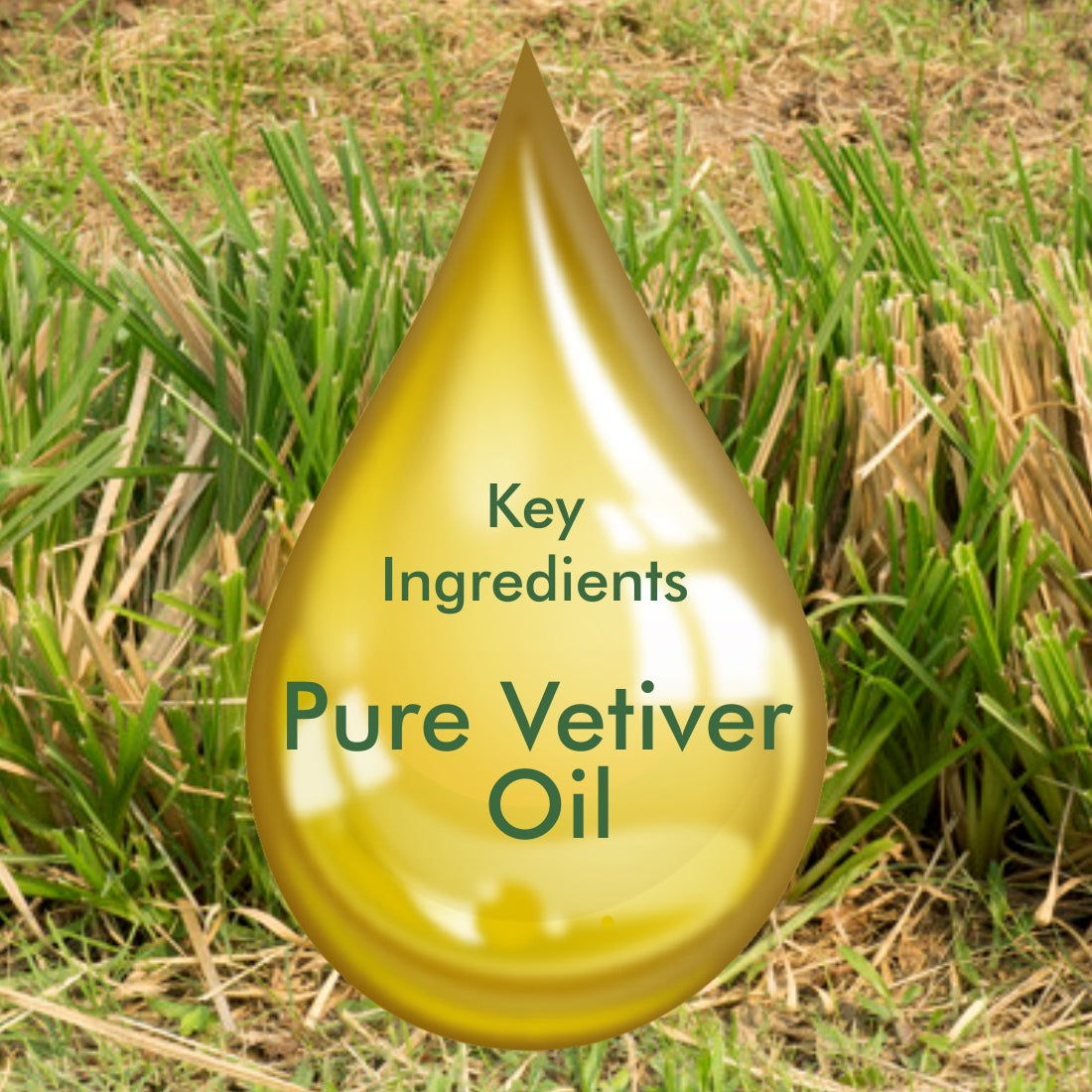 Vetiver Essential Oil