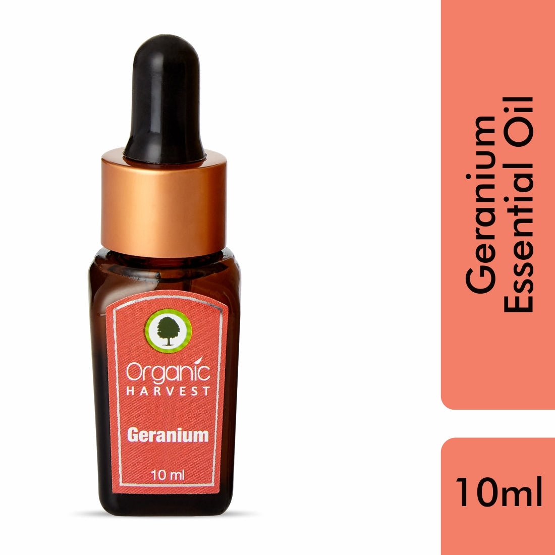 Geranium Essential Oil