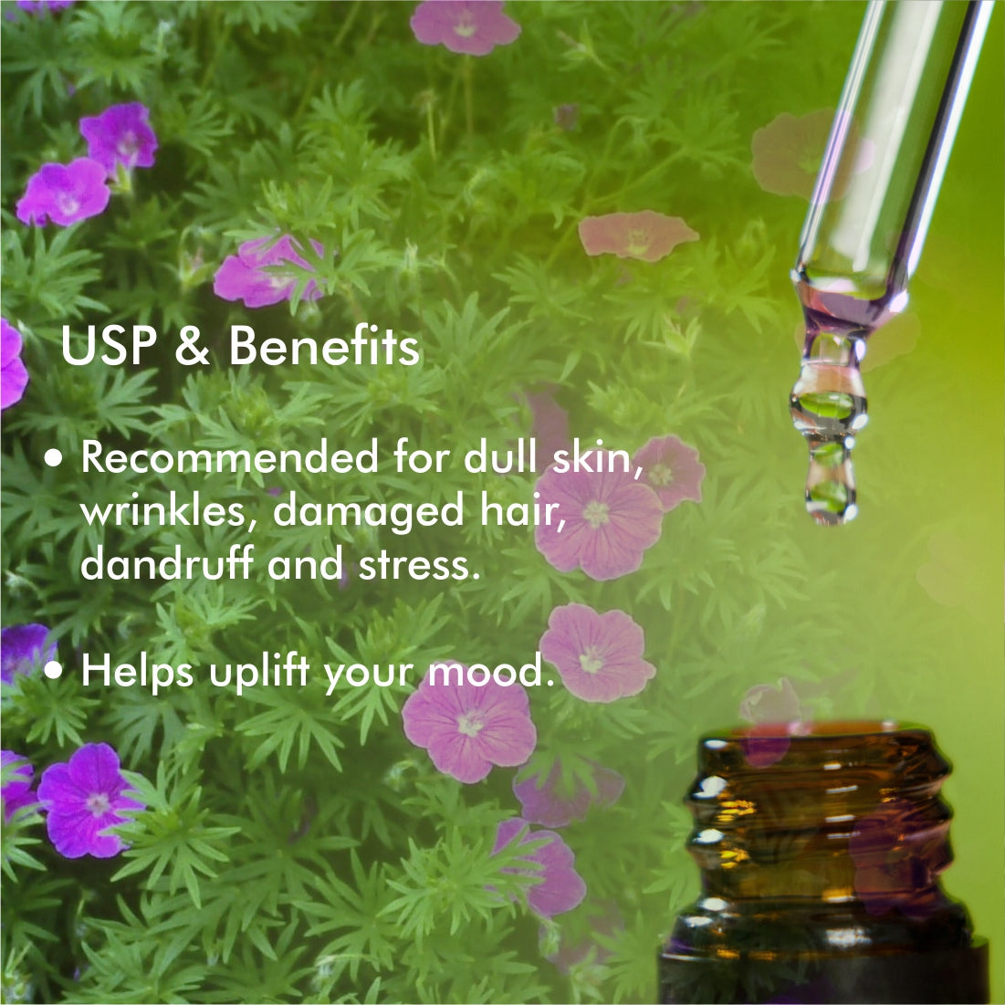 Geranium Essential Oil