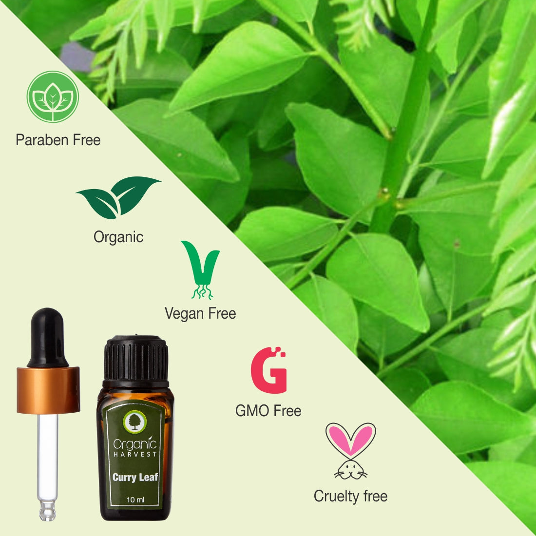 Curry Leaf Essential Oil