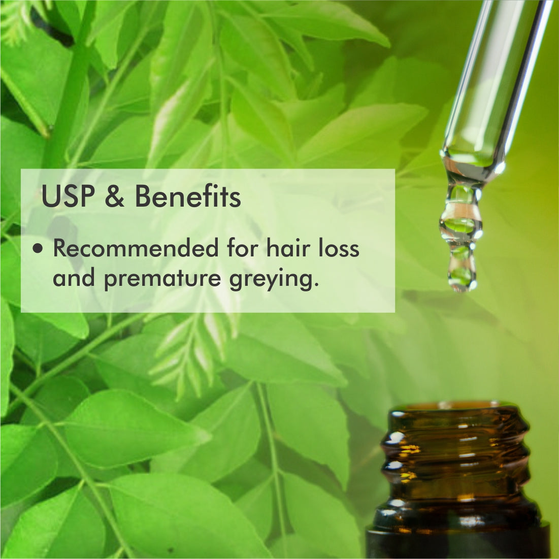 Curry Leaf Essential Oil