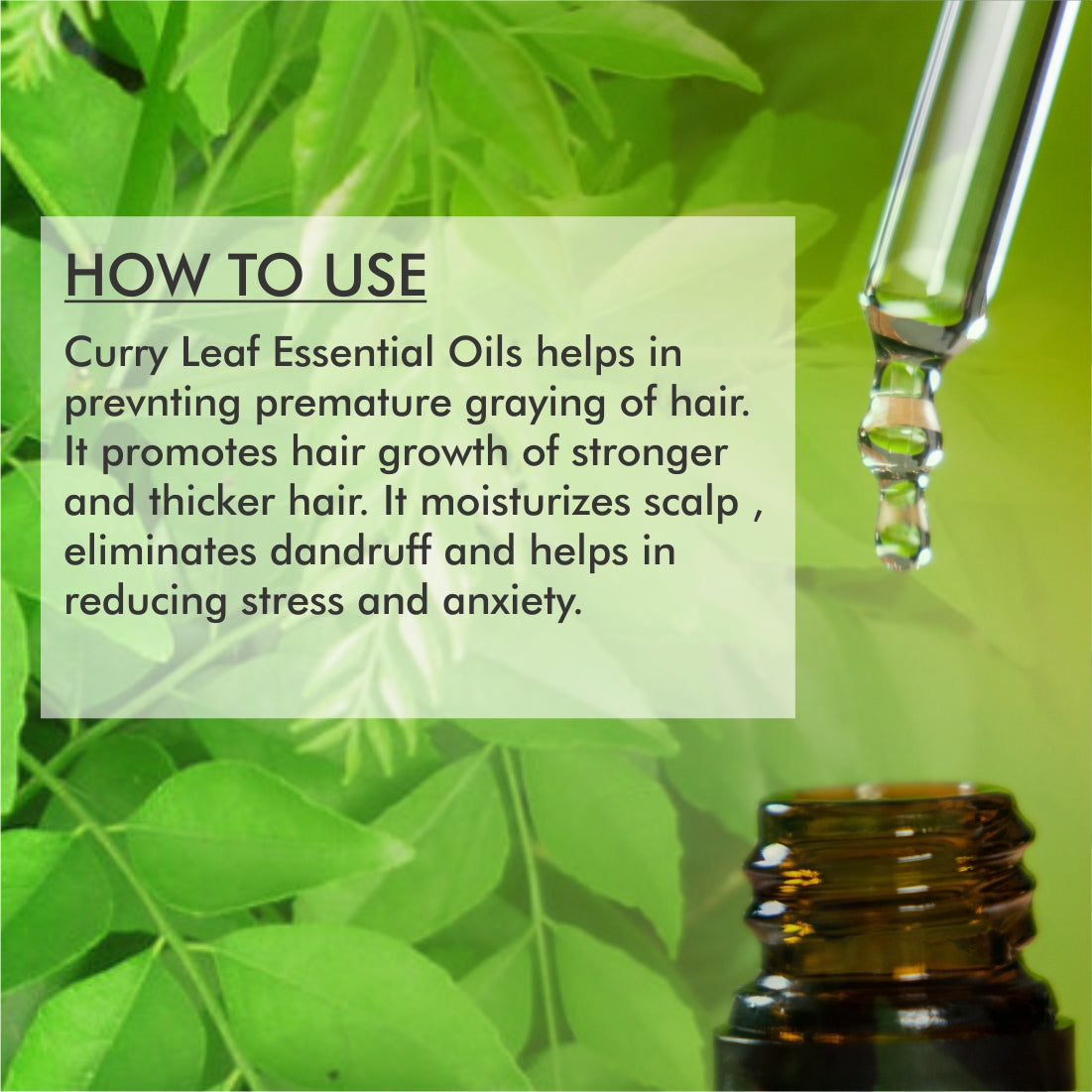 Curry Leaf Essential Oil