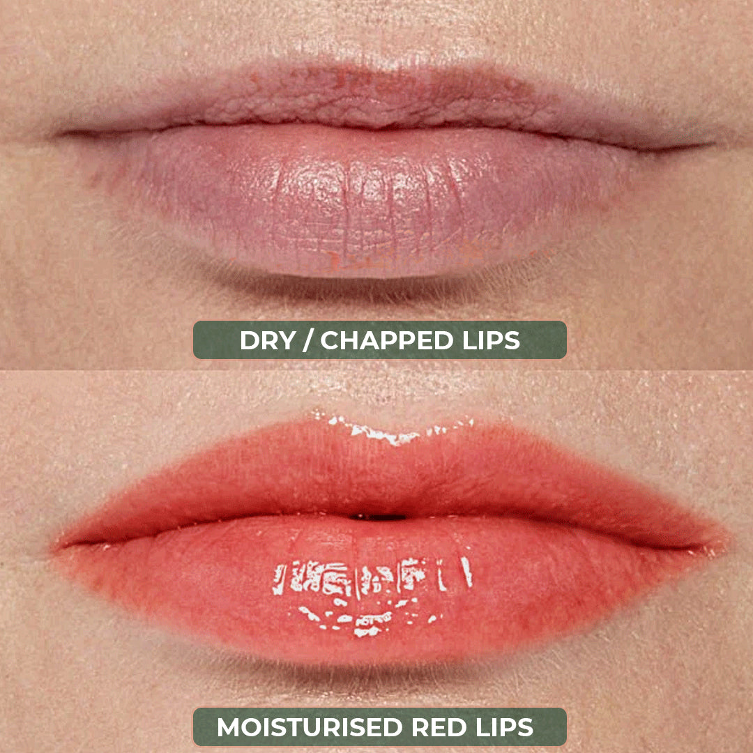 Hibiscus Lip Balm