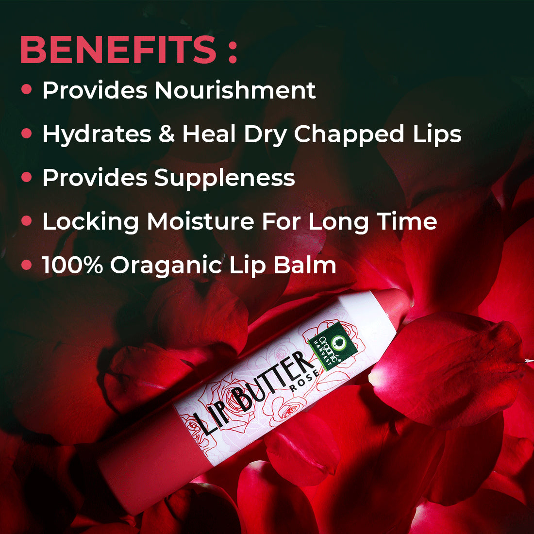Organic Harvest Lip Butter