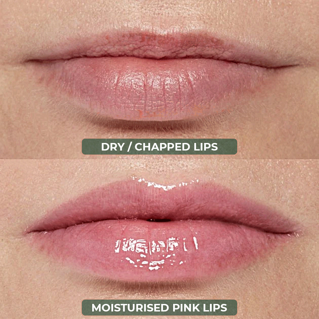 Organic Harvest Lip Butter
