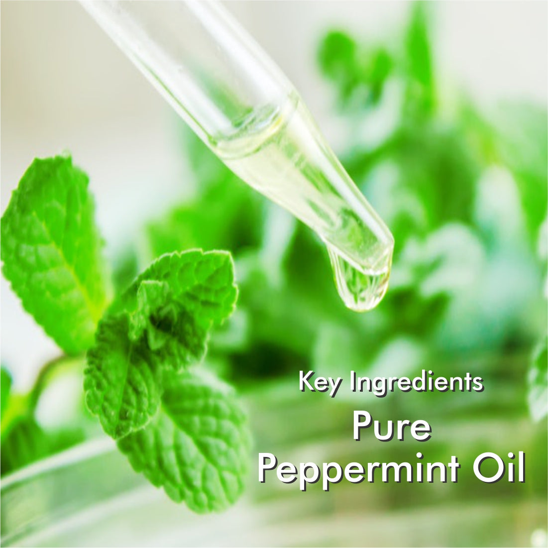 Pepper Mint Essential Oil