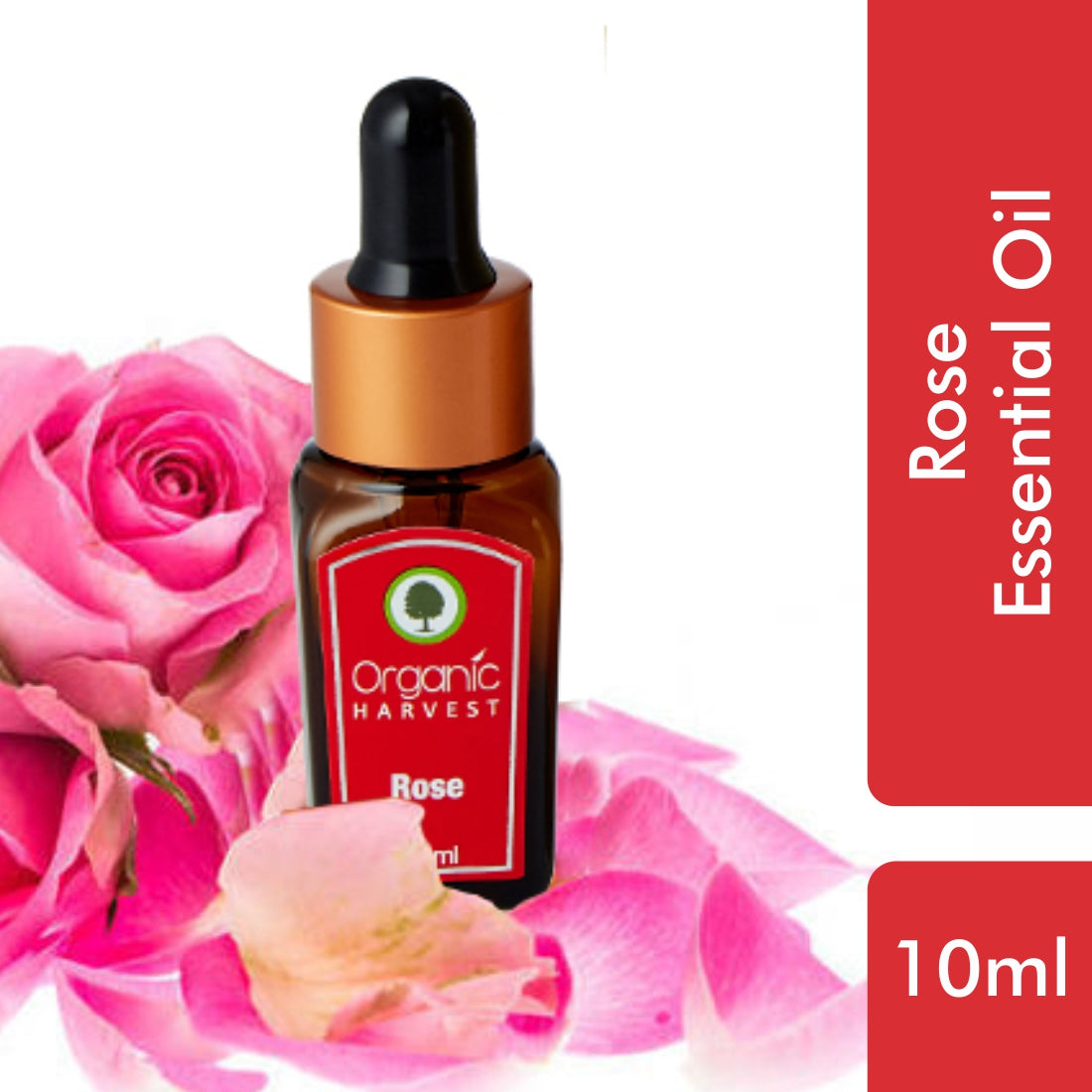 Rose Essential Oil, Calms & Soothes Skin, Fight Depression Face, Hair Care, Excellent for Aromatherapy - 10ml
