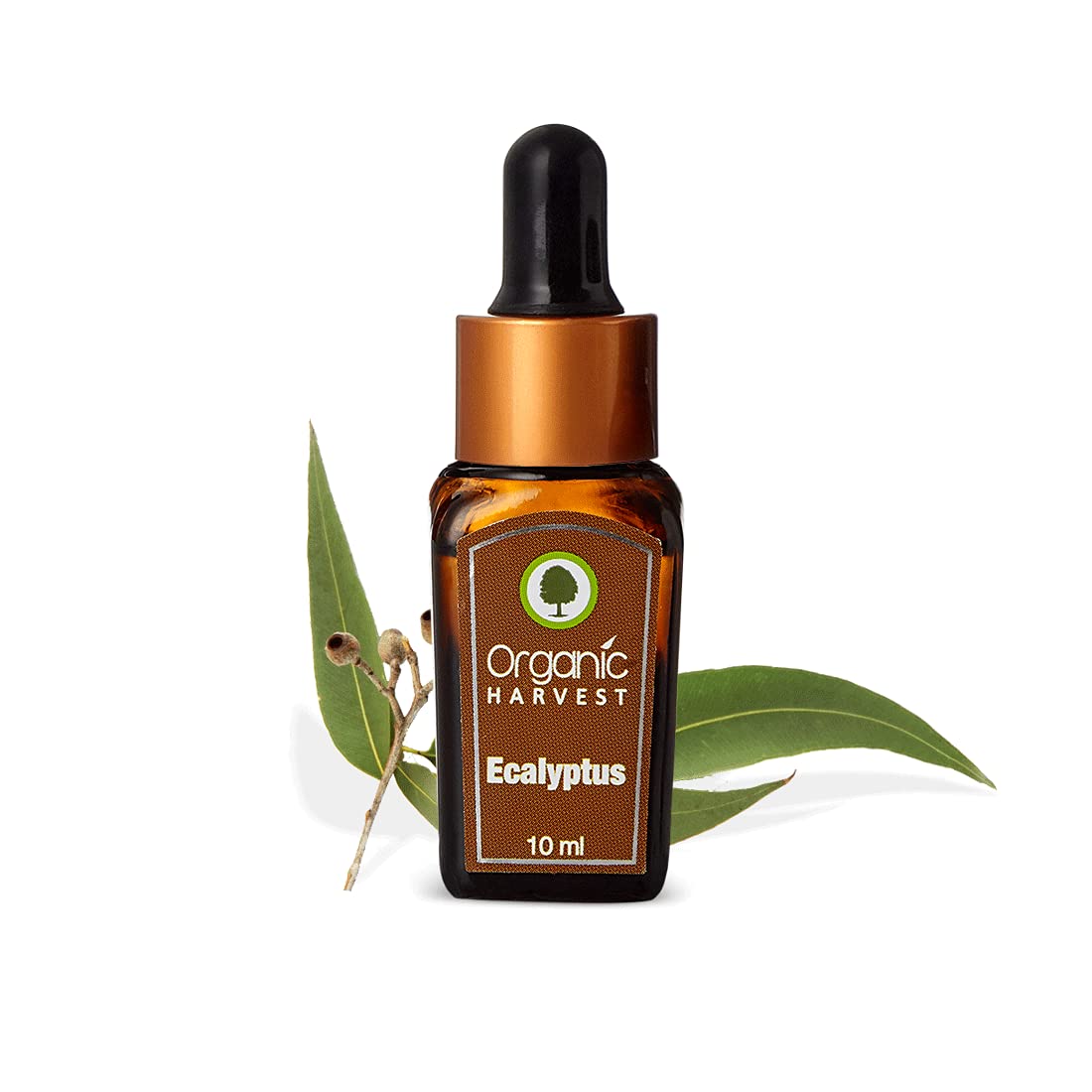 Eucalyptus Essential Oil