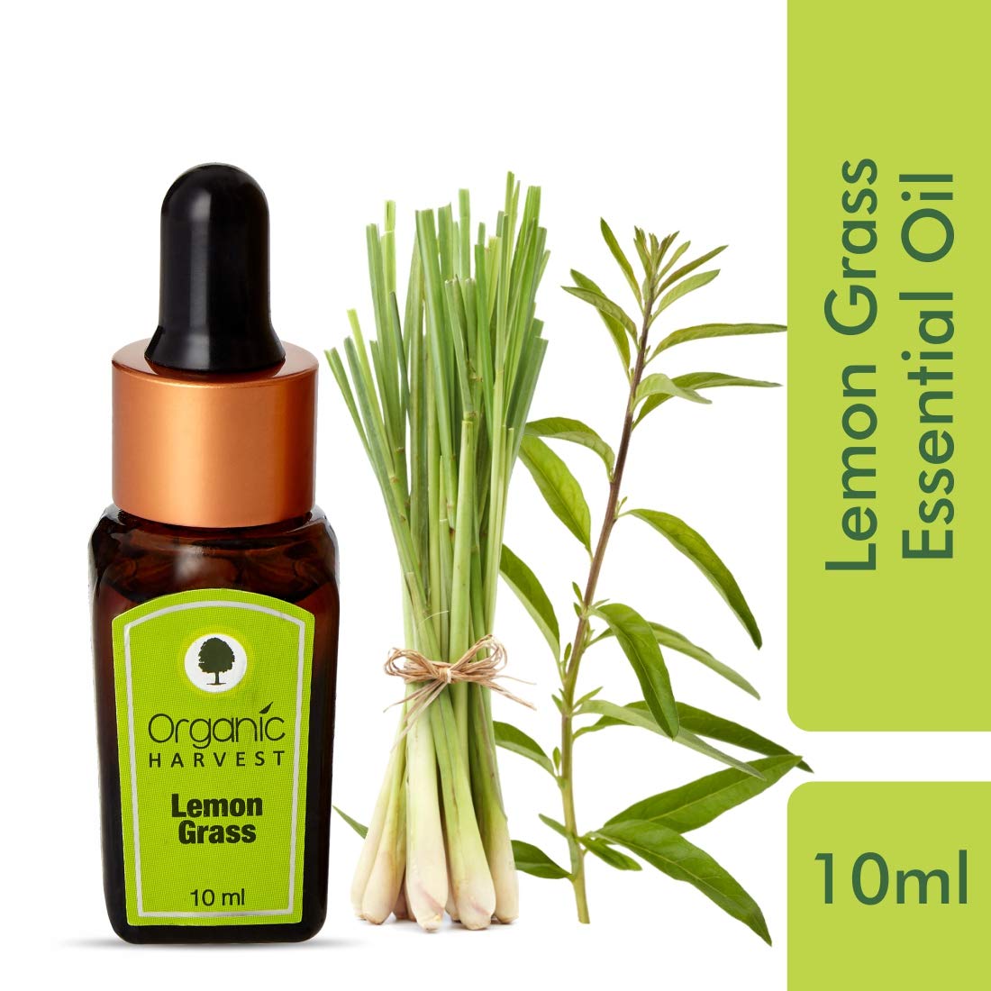 Lemon Grass Essential Oil