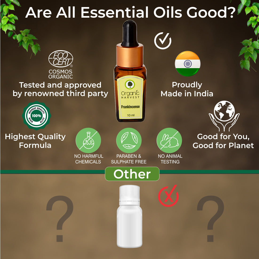 Organic Harvest Frankincense Essential Oil