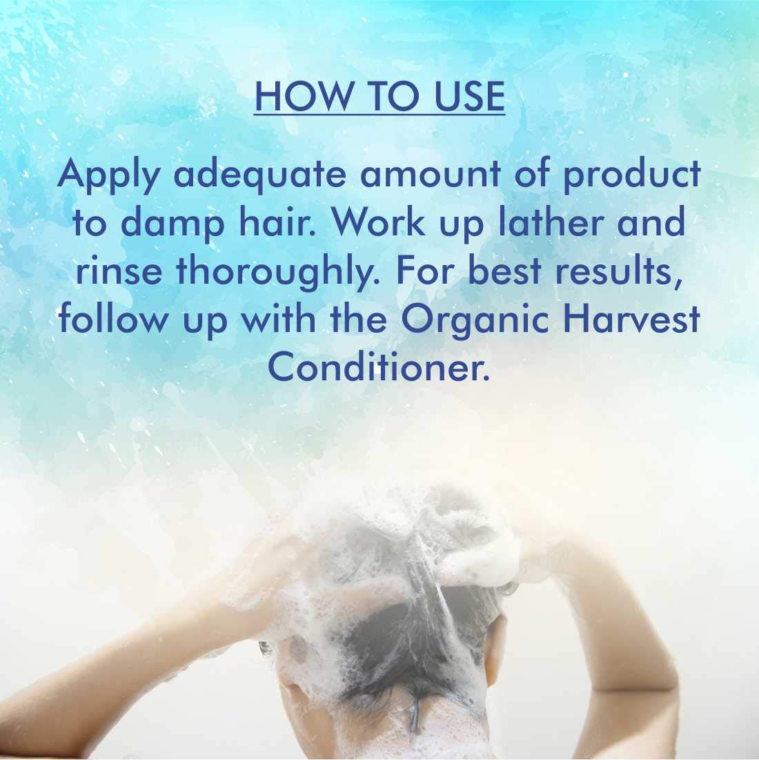 Anti dandruff shampoo