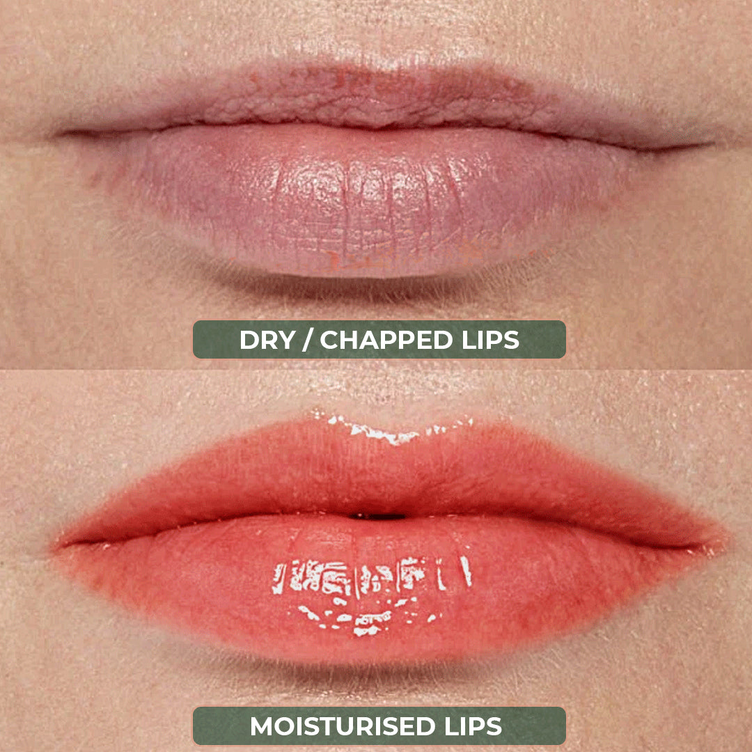 Organic Harvest Lip Balm