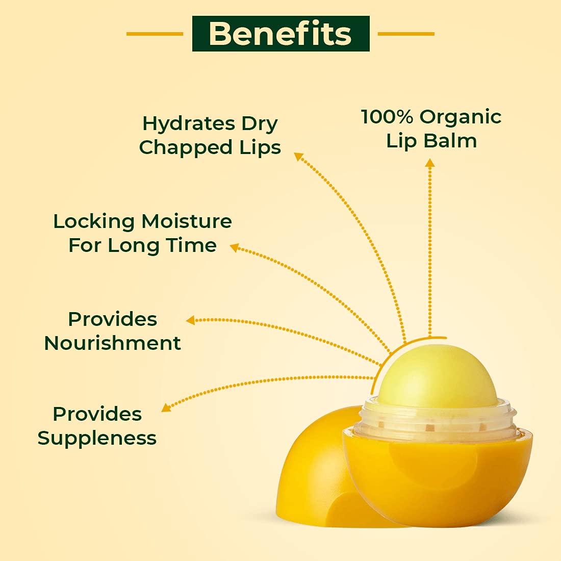 Moisturizing Lip Balm: Shea Butter - 8gm