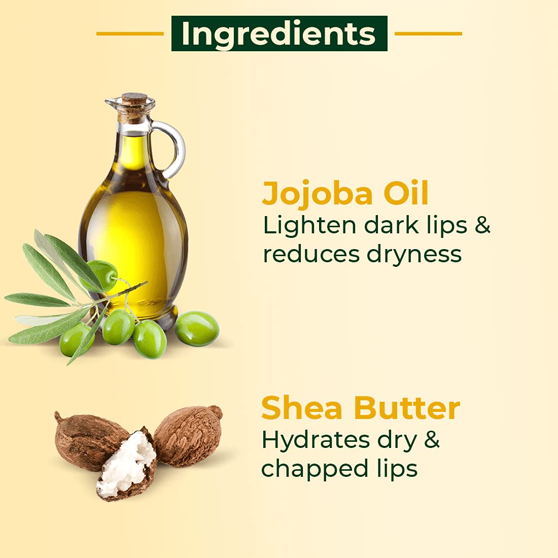 Moisturizing Lip Balm: Shea Butter - 8gm