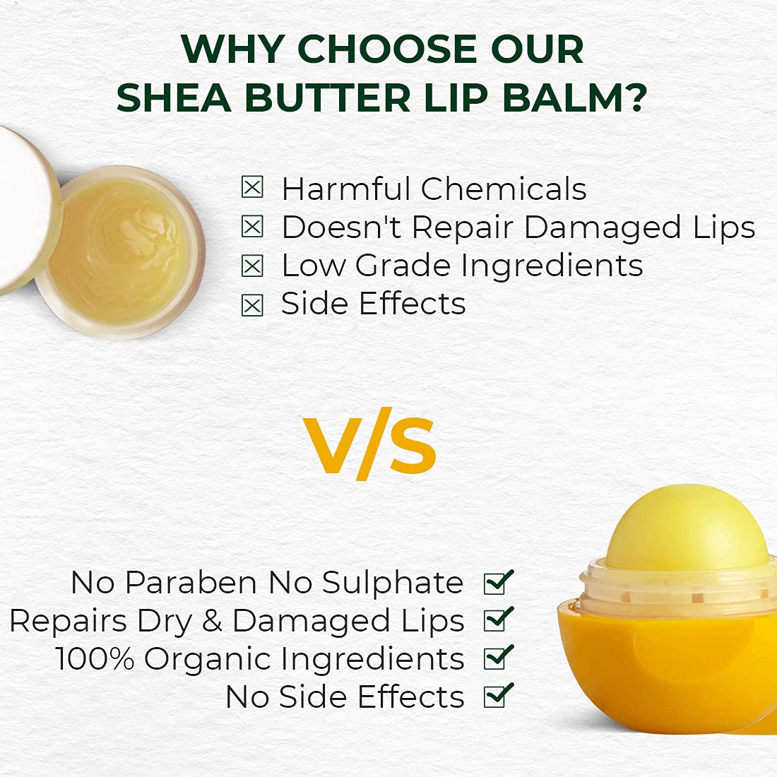 Moisturizing Lip Balm: Shea Butter - 8gm