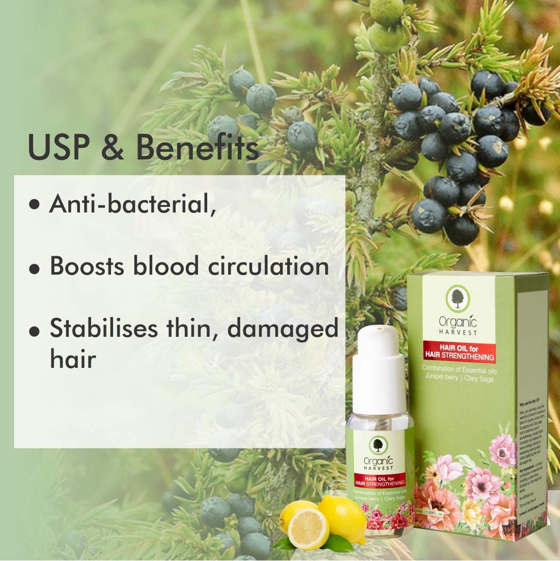 Organic Harvest Hair Oil