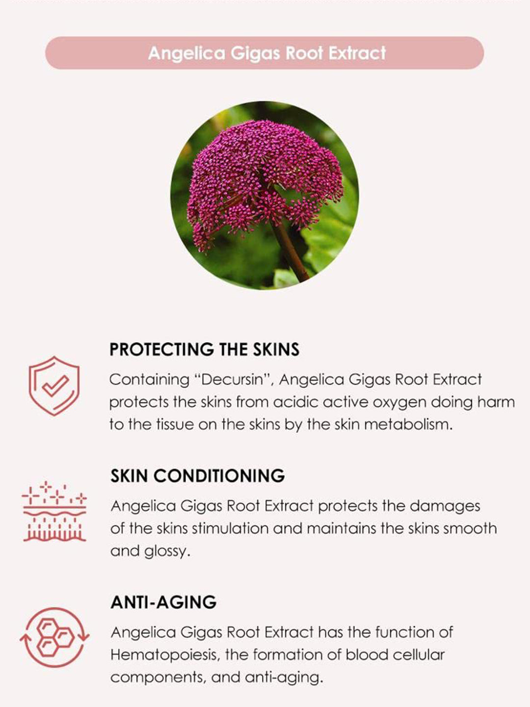 Cosmerit Toner & Cream