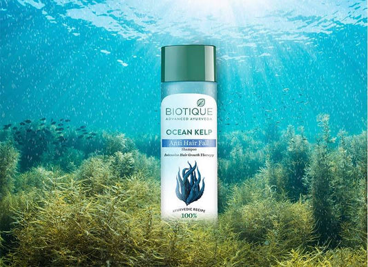 OCEAN KELP ANTI HAIR FALL SHAMPOO INTENSIVE HAIR GROWTH THERAPY