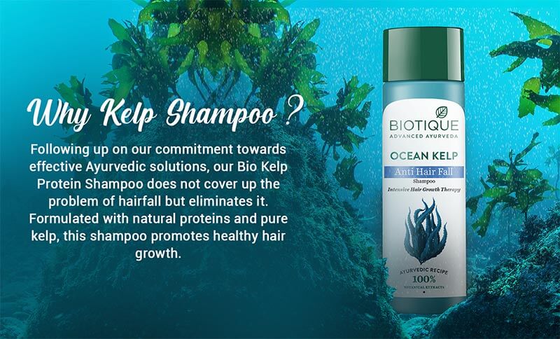 OCEAN KELP ANTI HAIR FALL SHAMPOO INTENSIVE HAIR GROWTH THERAPY