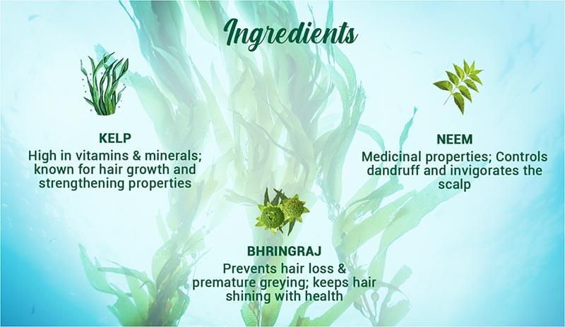 OCEAN KELP ANTI HAIR FALL SHAMPOO INTENSIVE HAIR GROWTH THERAPY