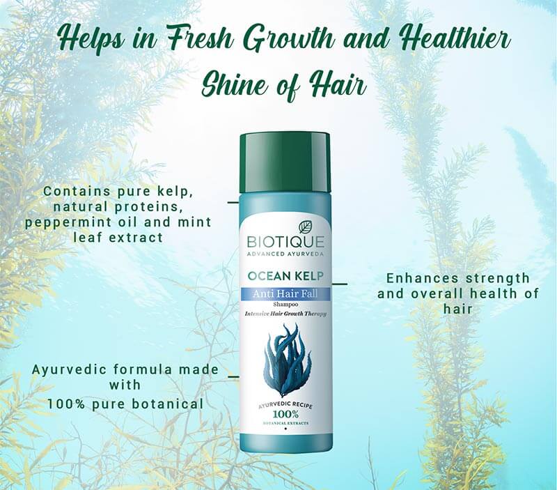 OCEAN KELP ANTI HAIR FALL SHAMPOO INTENSIVE HAIR GROWTH THERAPY