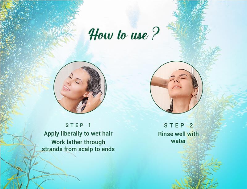 OCEAN KELP ANTI HAIR FALL SHAMPOO INTENSIVE HAIR GROWTH THERAPY