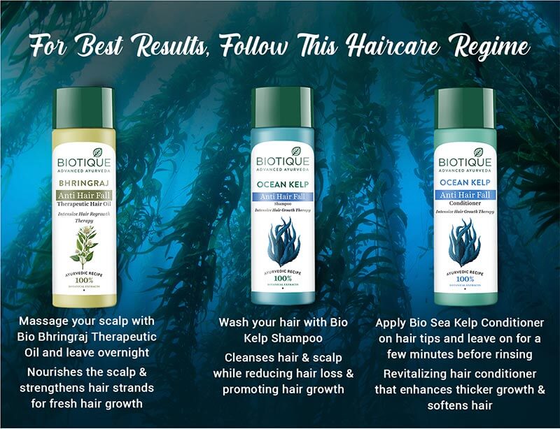 OCEAN KELP ANTI HAIR FALL SHAMPOO INTENSIVE HAIR GROWTH THERAPY