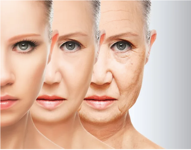 Skin Aging - Part # 1