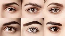 Make-Up for brow - How to shape your eyebrow?