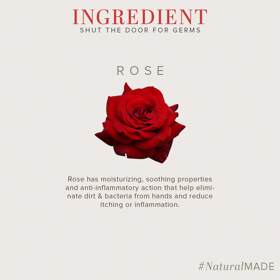 Khadi Natural Anti-Germ Rose Hand Wash Bottle + Dispenser Pack of 2 (2×300ml)