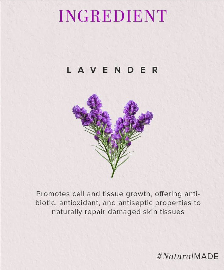 Khadi Natural Lavender Moisturizer with Sheabutter - Paraben Free - 210ml