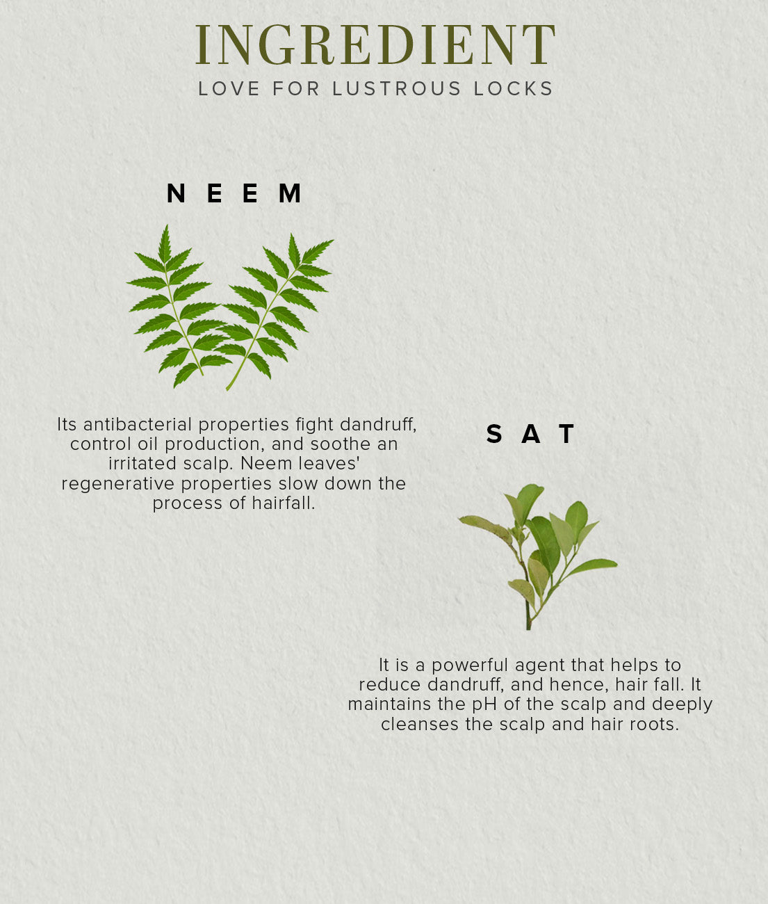 Khadi Natural Ayurvedic Neem Sat Hair Cleanser Shampoo (210ml)