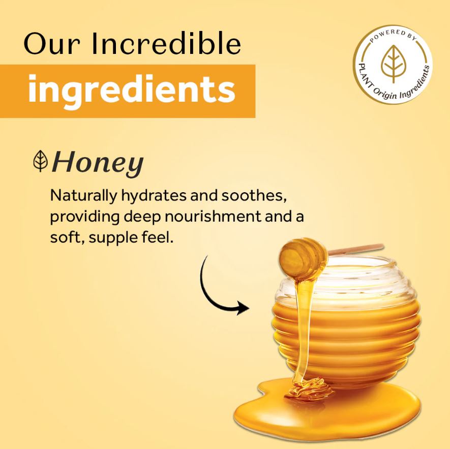 Atulya Honey Lip Balm for Hydrating Lips - 5gm