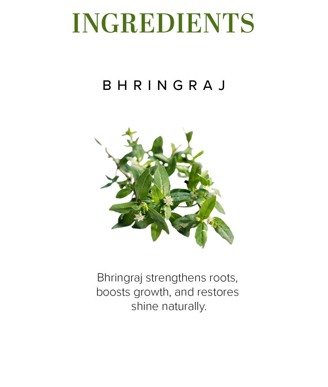 Khadi Natural Bhringraj Hair Oil Deep Conditioning Anti Hair Fall (210ml)