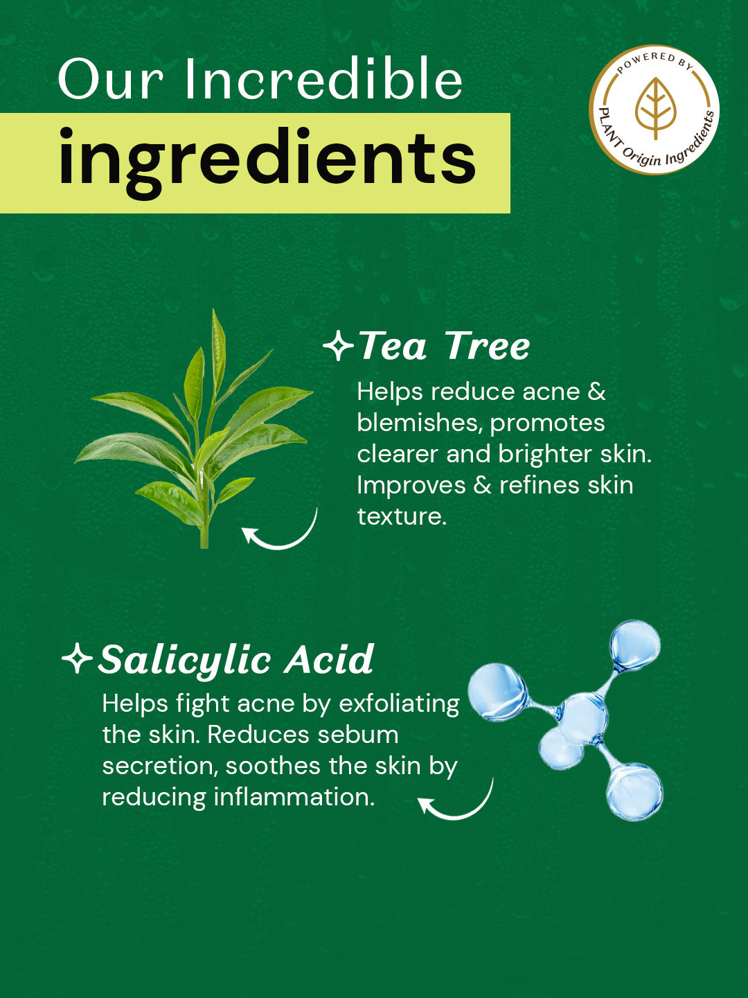 Atulya Tea Tree & Salicylic Acid Body Wash | Hydrating & Gentle Exfoliation | SLS & Paraben Free | For All Skin Types | 300 ml