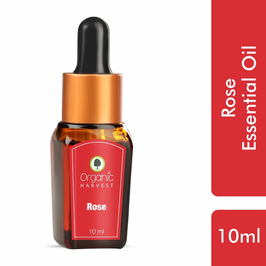 Rose Essential Oil, Calms & Soothes Skin, Fight Depression Face, Hair Care, Pure & Undiluted Therapeutic Grade Oil, Excellent for Aromatherapy,100% Organic, Paraben & Sulphate Free - 10ml