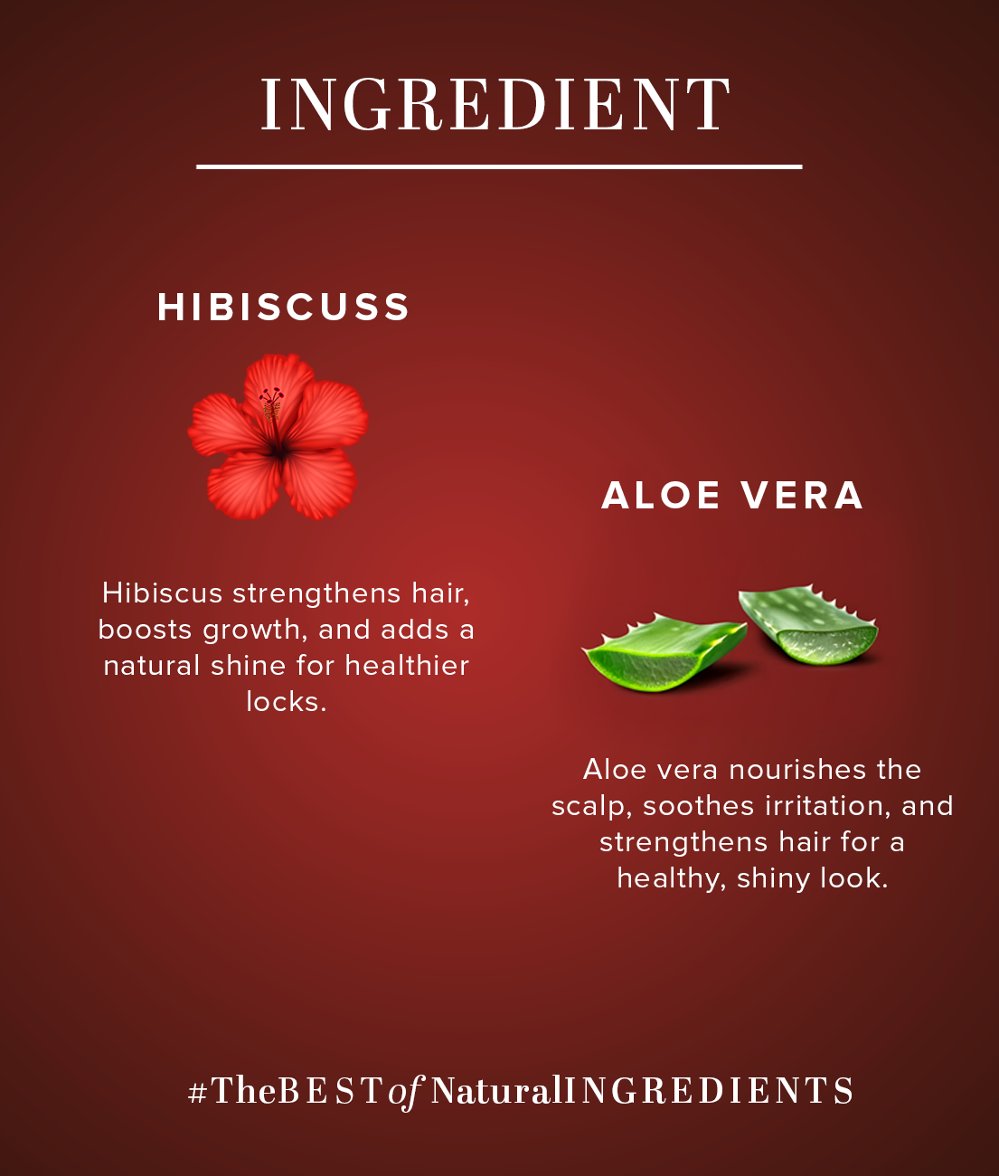 Khadi Natural Hibiscus & Aloevera Hair Shampoo Powered Botanics Prevent Split Ends (310ml)