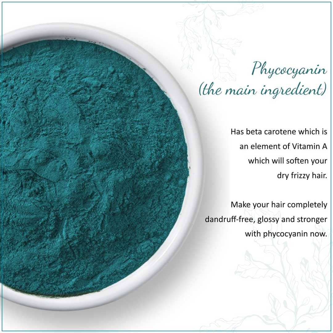 Phycocyanin Hair Repair Masque With Phycocyanin Powder, Vitamin-E And Aloevera - 200 gm