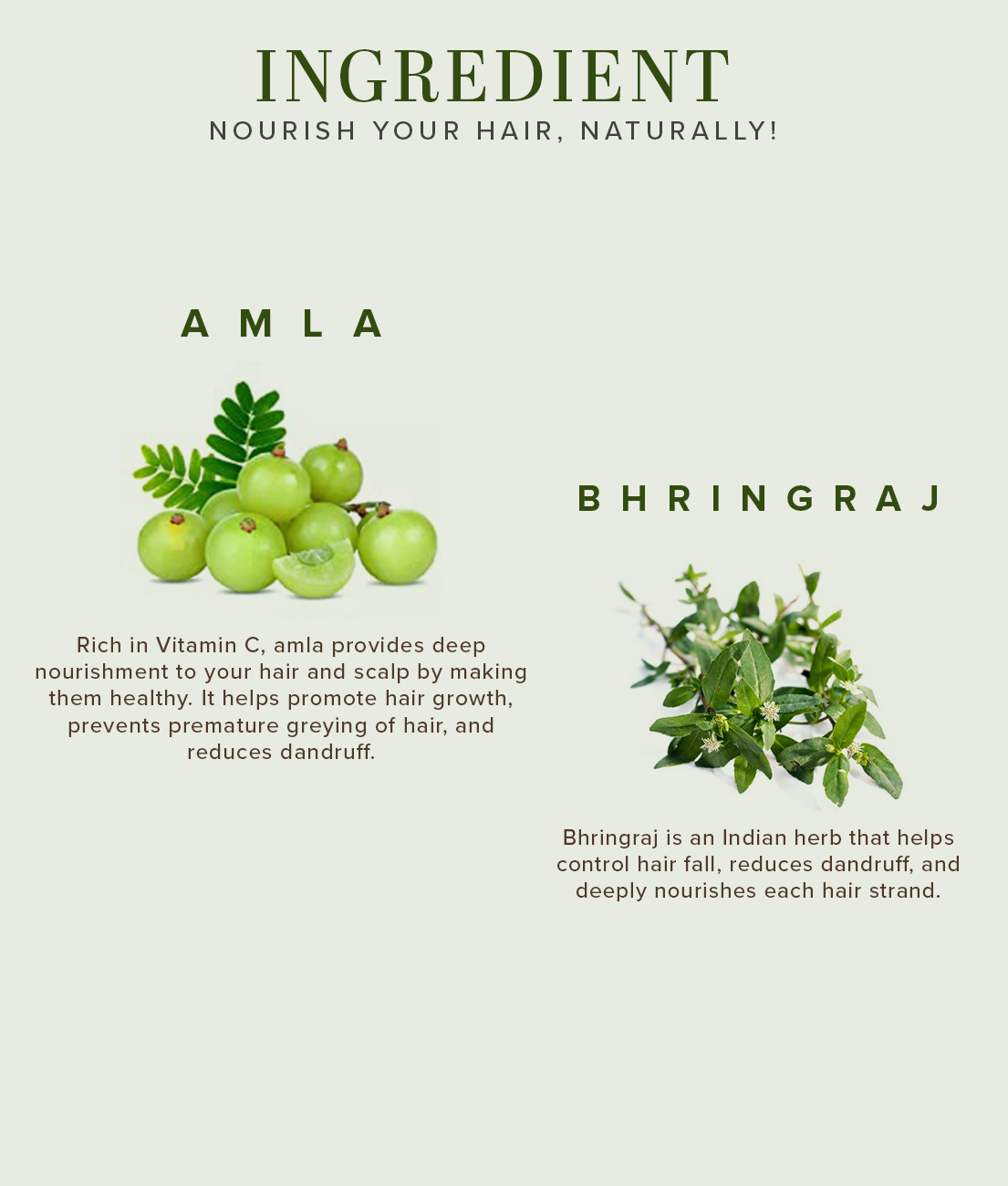 Khadi Natural Amla & Bhringraj Shampoo SLS-Paraben Free Anti-Dandruff (210ml)