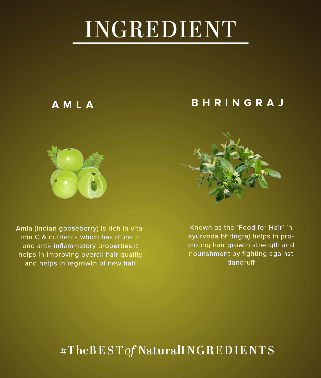 Khadi Natural Amla & Bhringraj Hair Oil Powered Botanics (200ml)