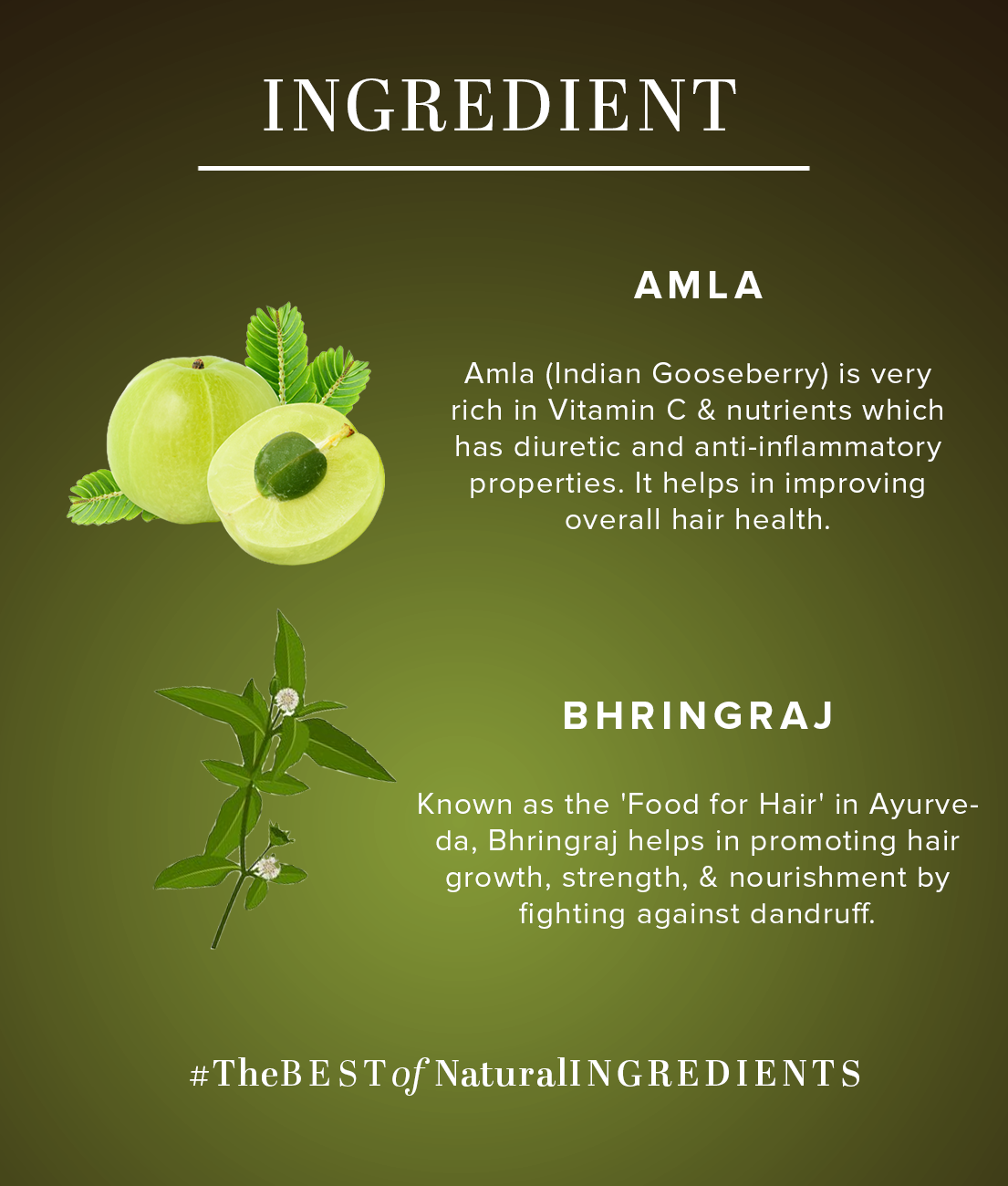 Khadi Natural Amla & Bhringraj Shampoo Powered Botanics Anti-Dandruff (310ml)