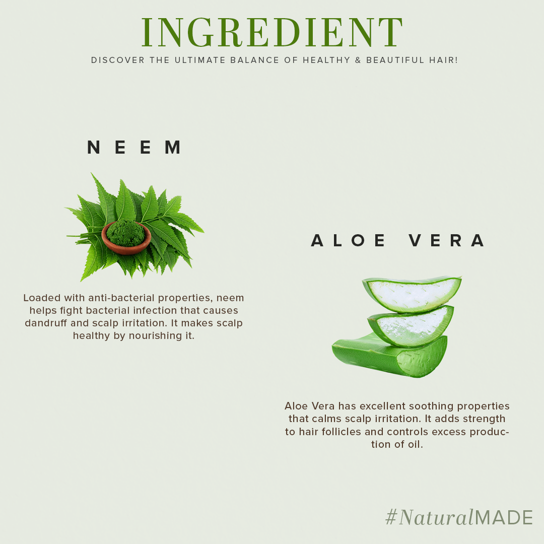 Khadi Natural Neem & Aloevera Cleanser Shampoo SLS-Paraben Free Pack of 2 (420ml)