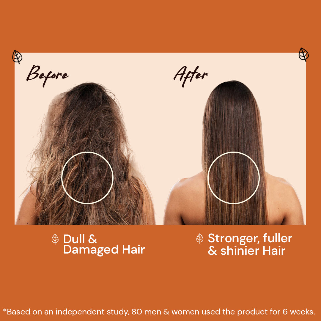 Atulya Moroccan Argan Oil Conditioner | Locks Moisture, Softens Hair | Silicone Free | 300 ml